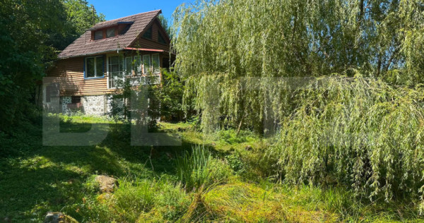 Cabană cu pescărie și natură, oază de liniște, &icirc;n sat