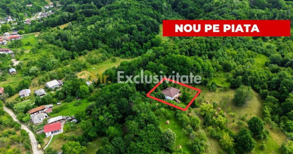 Proprietate de poveste &icirc;n Corbi, Argeș - Doua case si 6...