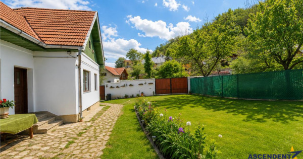 Pe domeniu de 1.750mp, rezidenta in Central, Sacele, Brasov