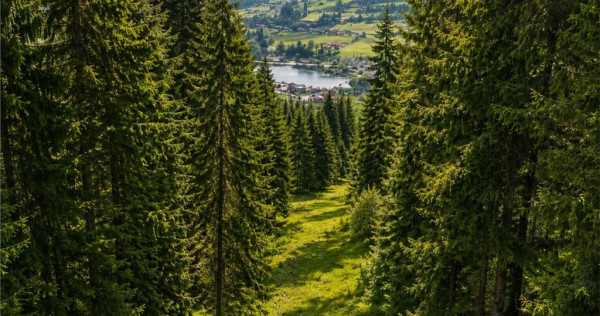FILM!Teren 7.800mp,fosta partie de schi,investitie turistica