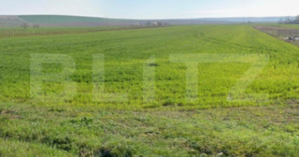 Teren intravilan, 1900 mp, deschidere 13.16 ml, toate utilit