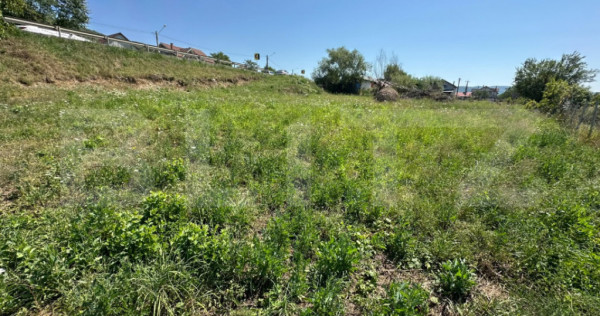 Teren Intravilan, 1400 mp, zona Crainimat
