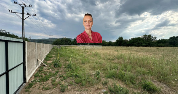 Bocsa Romana, De Inchiriat, Teren Intravilan 8.500mp, strada