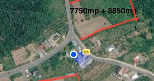Proprietar - Vand teren intravilan in comuna Cocu, Arges, parcelabil