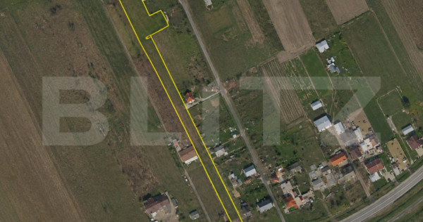 Teren de v&acirc;nzare, 1000 mp, zona Balta Blondă