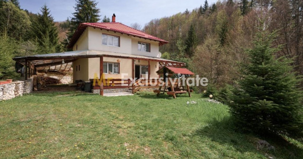 Casa de vacanta sau pensiune in D&acirc;mbovicioara 5 camere, ...