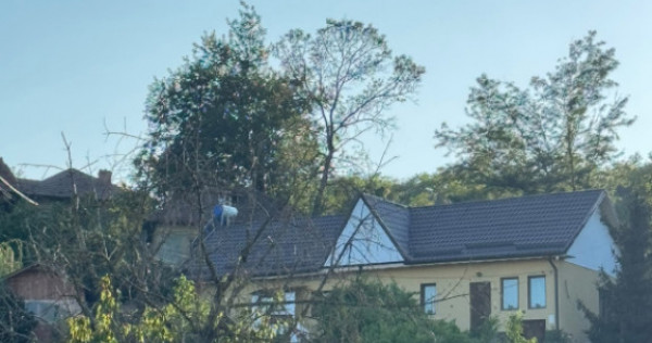 Casa individuala, 96 mp, teren, 1.125 mp, zona Podari