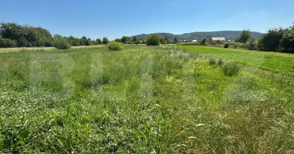 Teren intravilan, 1.782 mp, deschidere 20 ml, zona Branesti