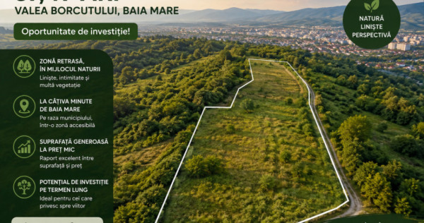 Oportunitate de investiție | Teren 87,49 ari &ndash; Valea Borc