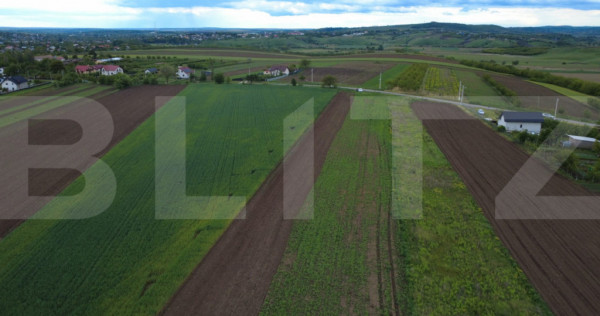 Teren agricol, 5.200 mp, Comuna Sendriceni
