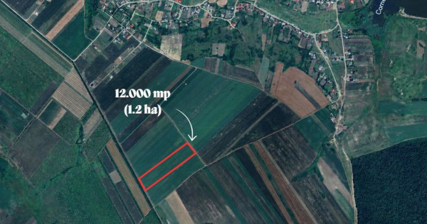 PROSELNICI &ndash; Teren extravilan 12.000 mp