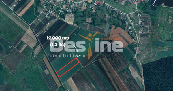 PROSELNICI &ndash; Teren extravilan 12.000 mp