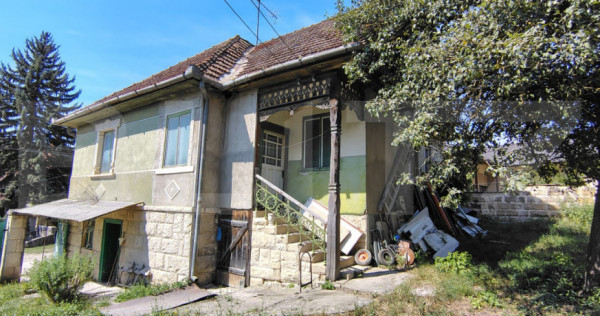 Casă de v&acirc;nzare, 120 mp, 2077 mp teren, sat Viștea