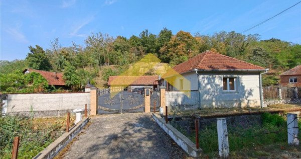 Casa cu teren 2504 mp de in localitatea Cuias, comuna Savar