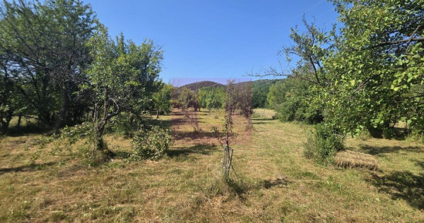 Teren intravilan de vanzare 3375 mp in Brebu