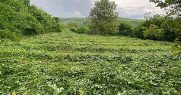 Teren 2200 mp, &icirc;n Rădaia, com Baciu