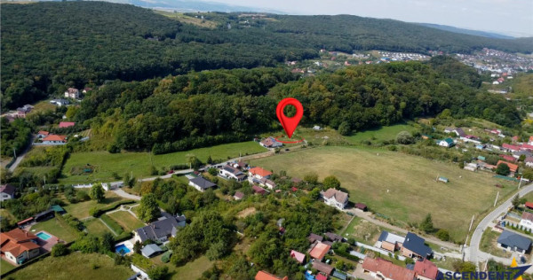 Teren premium de 500 mp la marginea padurii: oaza de liniste