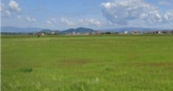 Teren intravilan 1.440mp pretabil duplex | Floresti