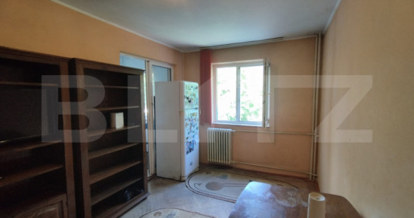Apartament 1 camera, 20 mp, zona Cantemir