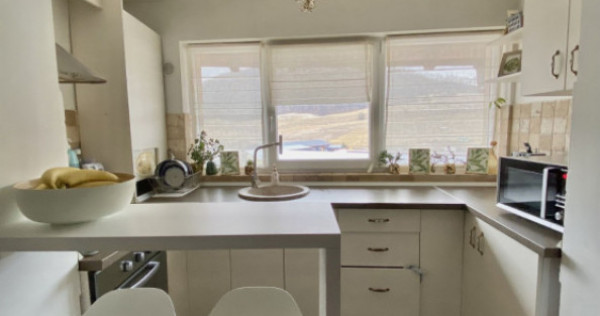 Apartament superb pe 2 nivele, zona Florilor