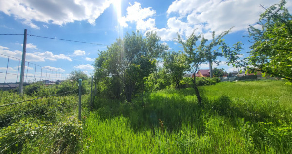 Teren de vanzare Barnova, cu priveliste Vanzare imediata lan