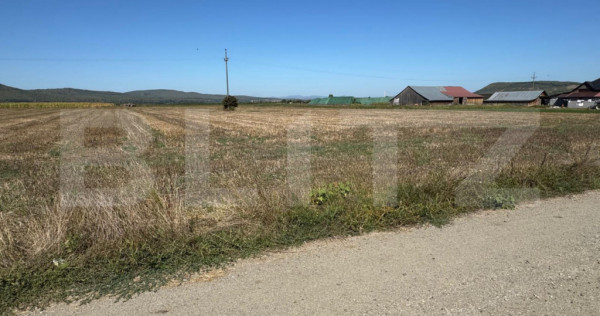 Teren intravilan, 2.250 mp, de vanzare, zona Chintelnic