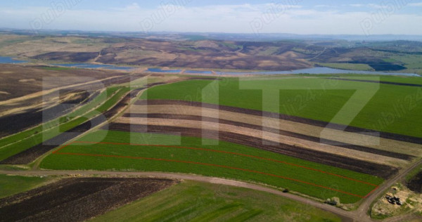 Teren de vanzare, 8.000 mp, zona Copaceni