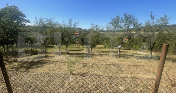 Teren intravilan 1.100 mp &icirc;n Ortelec
