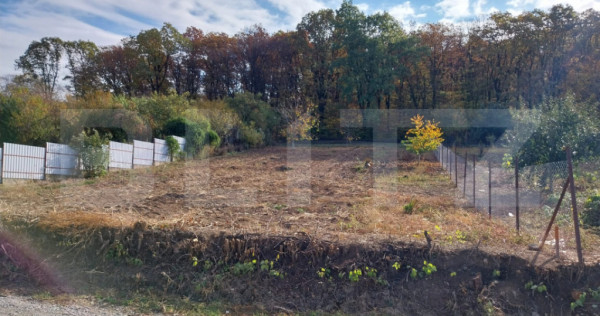 Teren intravilan 1.100 mp &icirc;n Ortelec