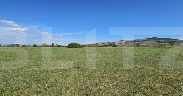 Teren agricol, 7 hectare, zona Ozun