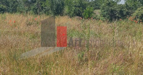 V&acirc;nzare 2 loturi de casă Dobreni Giurgiu