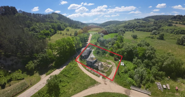 Teren 3,312mp Cris / Strada Fără stradă