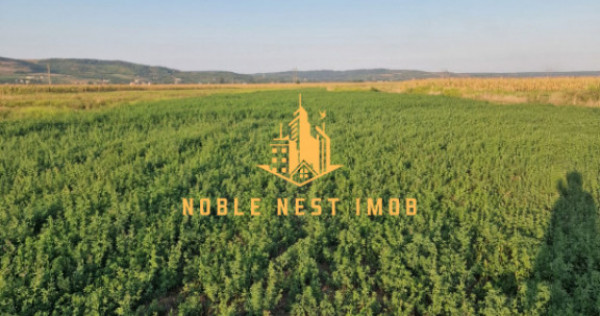 TEREN 2353 MP &ndash; UDENI-ZĂVOI, JUD. ARGEȘ | COMISION 0%