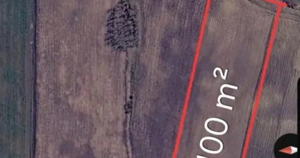 Teren extravilan de v&acirc;nzare - com. PAPIU ILARIAN 13100mp