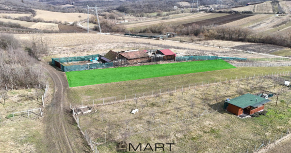 Teren intravilan 1000mp strada Salcamilor Gusterita