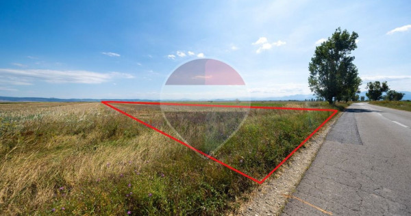 Teren 20,000mp Halchiu / Satul Nou
