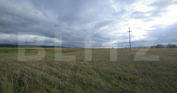 Teren extravilan, 2.800 mp, zona Curteni