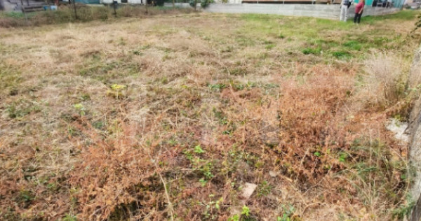 Teren intravilan 446 mp | Teren plan | Utilitati in zona | N