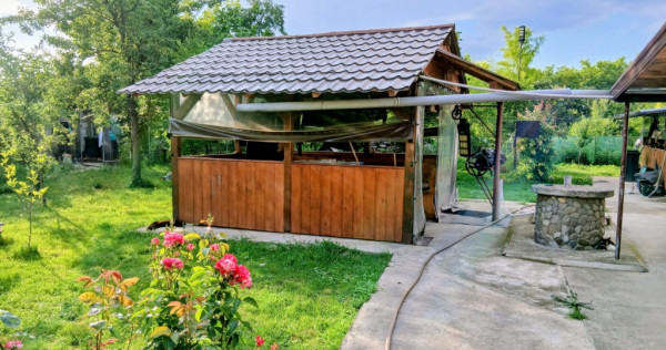 Proprietate generoasă cu 2 CASE, 169 mp utili Bilciuresti, Dambovita