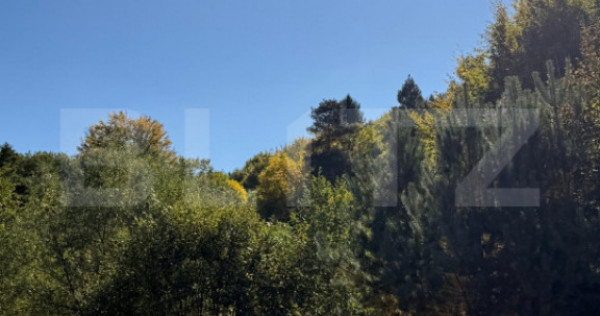 Teren intravilan, 2.000 mp, zona Geamana - Codlea
