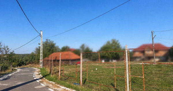 Teren Albota 1312 mp - deschidere 44 metri - toate utilitati
