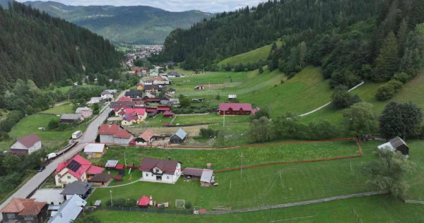 Teren 2870mp+casa de v&acirc;nzare Izvorul Alb, C&acirc;mpulung Moldovenesc