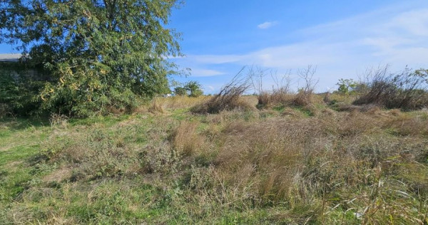 Teren intravilan 1.666 mp &ndash; Sm&acirc;rdan &ndash; Zonă &icirc;n dezvoltare, 20 euro/mp
