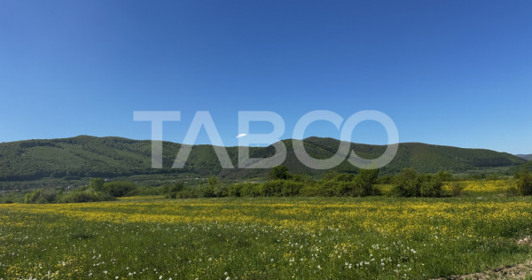 Teren intravilan cu vedere la munti pretabil cabana Poplaca