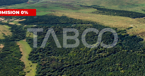 COMISION 0% - Padure de 12.7 hectare de vanzare in judetul S