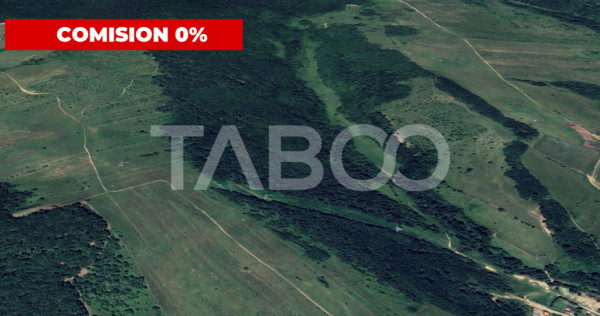 Padure de vanzare 127.000mp langa Mag in judetul Sibiu