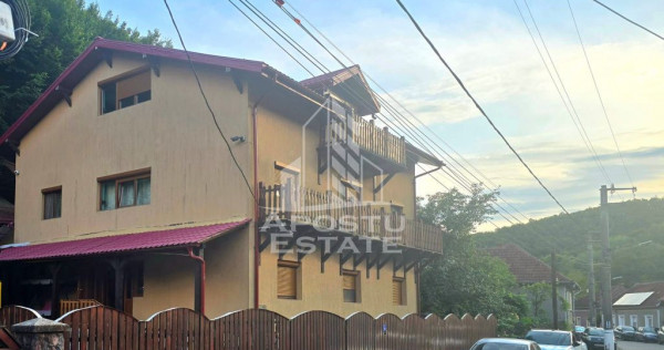 Prnsiunr in Moneasa 8 camere