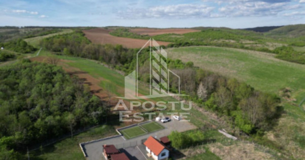 Casa de vacanta cu. teren 31.300 Nadas, 38 km de Timisoara.