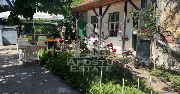 Două case de v&acirc;nzare &icirc;n aceeași curte zona Maria