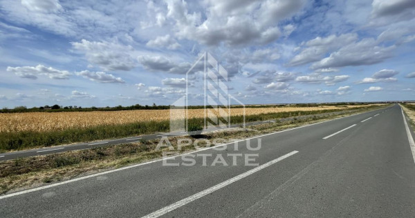Teren 55.000 mp, front stradal 354 ml, asfalt, Remetea Mare -Ianova.